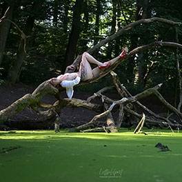Wald-Fotoshooting Märchenhafte Waldfotografie
